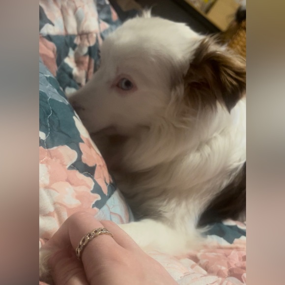 hi (: i’m miranda - Picture 4 of 5